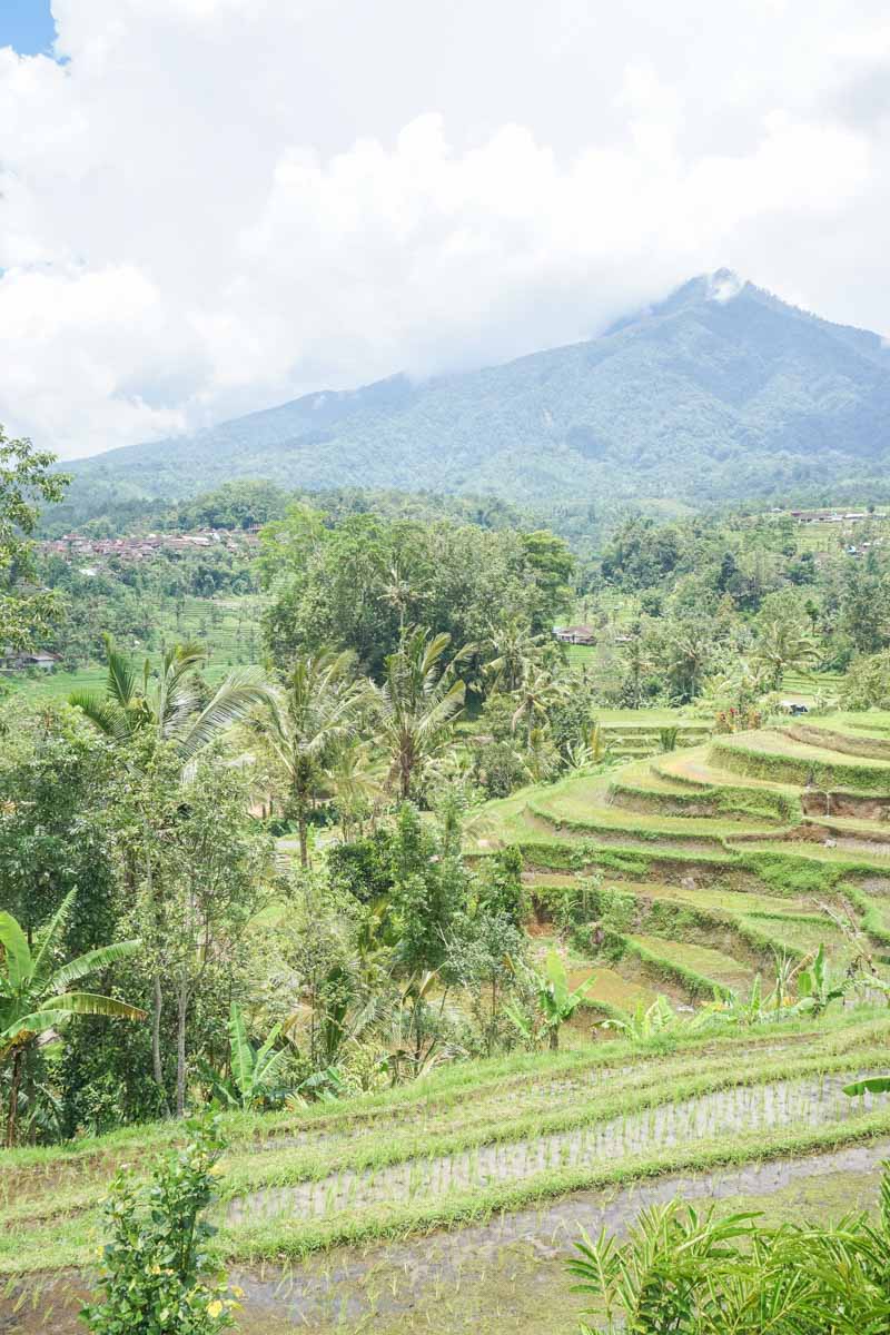 tour bali 2 settimane