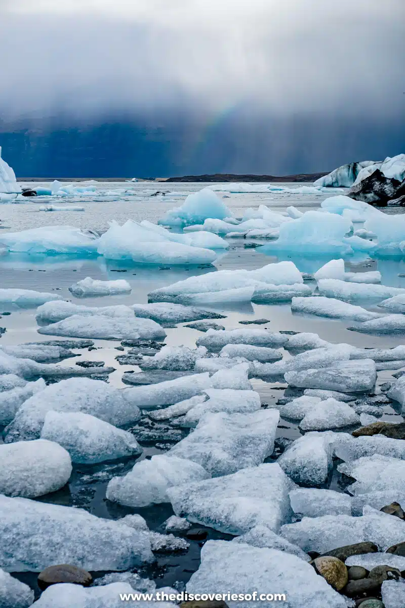 Icebergs on the lagoon