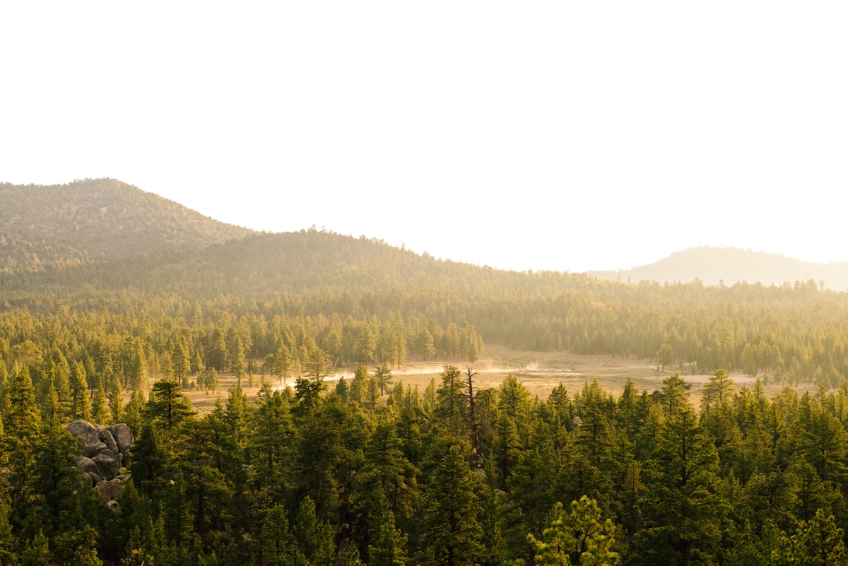 Big Bear