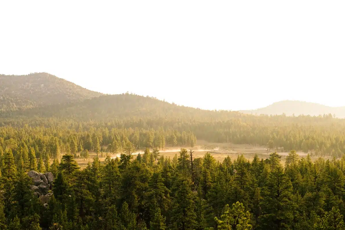 Big Bear