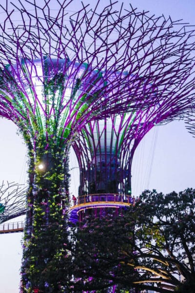 Singapore Travel Guide