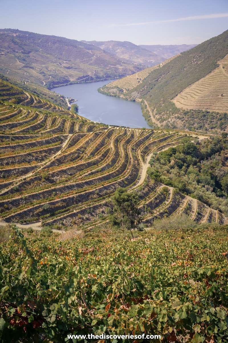 Douro Valley slopes
