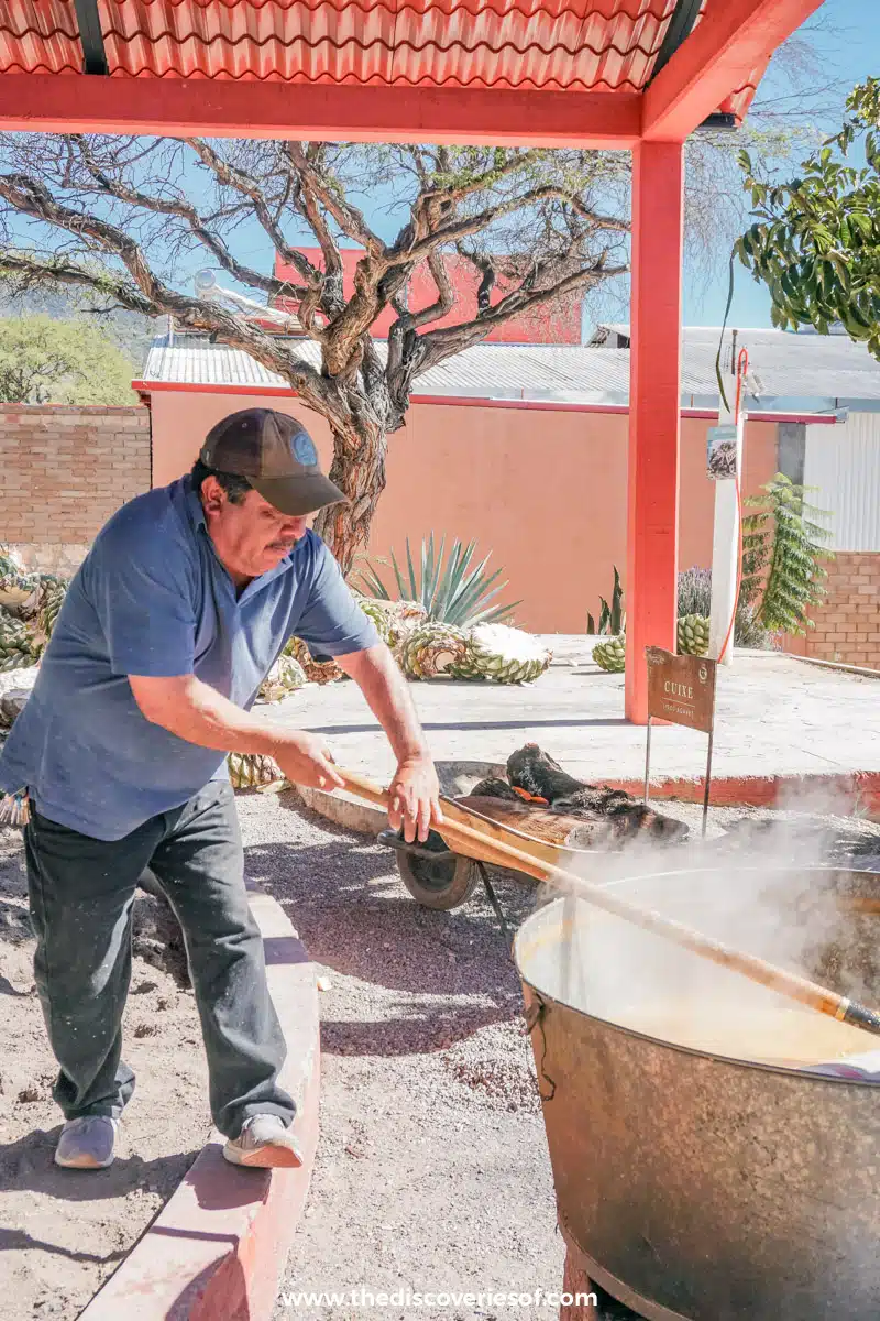 Smoking the agave