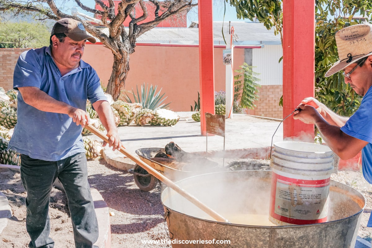 Smoking the agave at Gracias a Dios Oaxaca