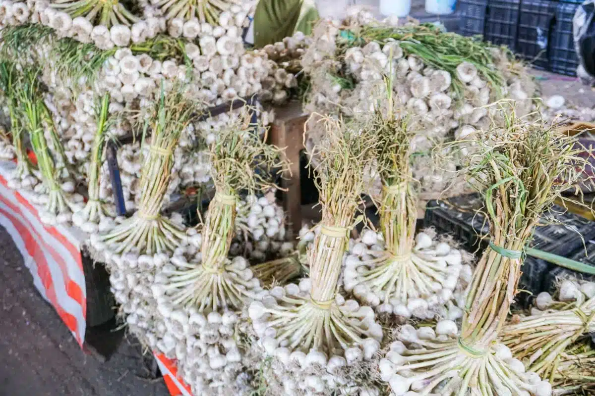 Mercado de Abastos Oaxaca
