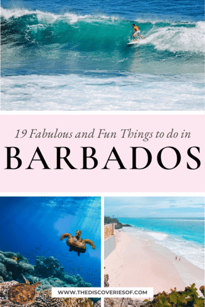 19 Fabulous Things To Do In Barbados – The Discoveries Of