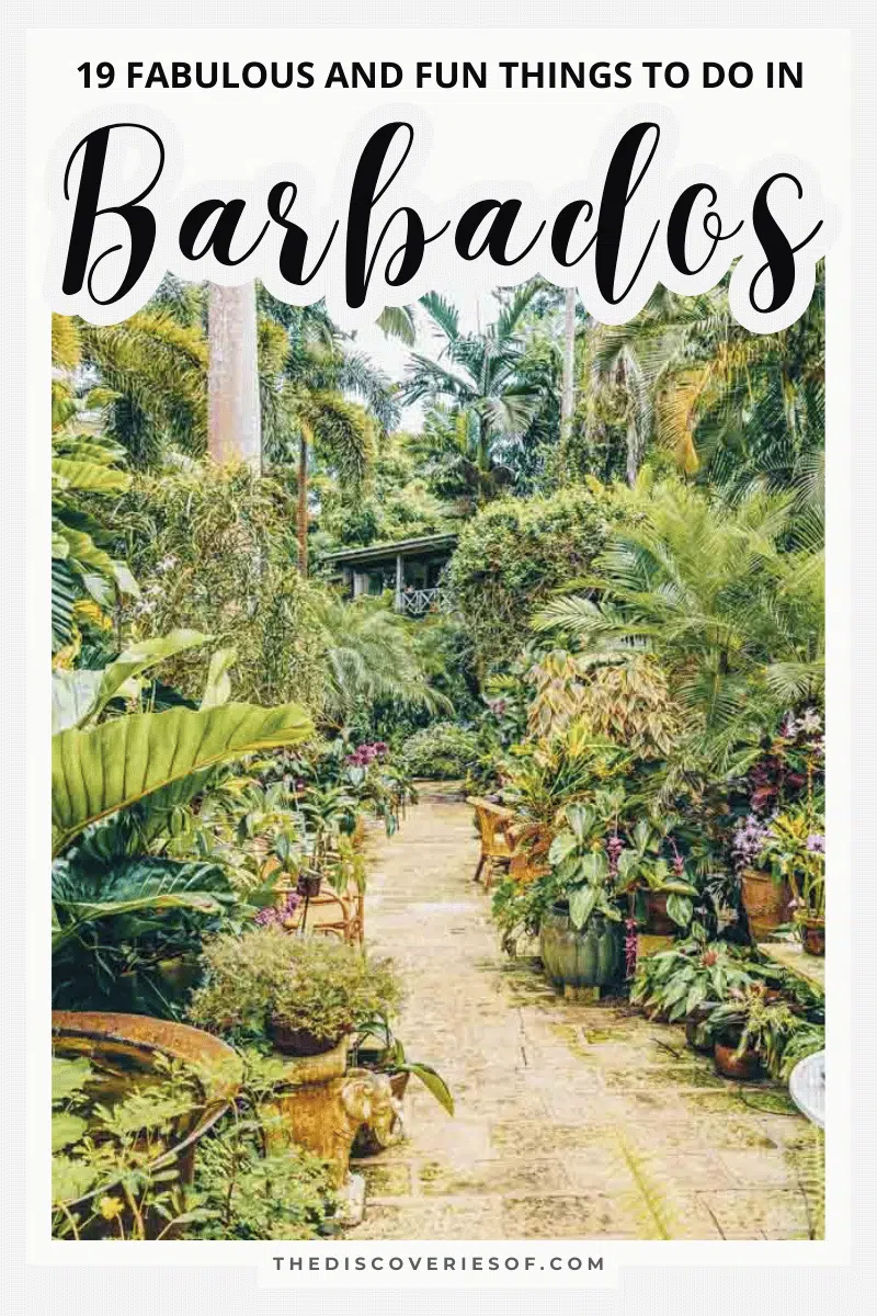19 Fabulous Things to do in Barbados