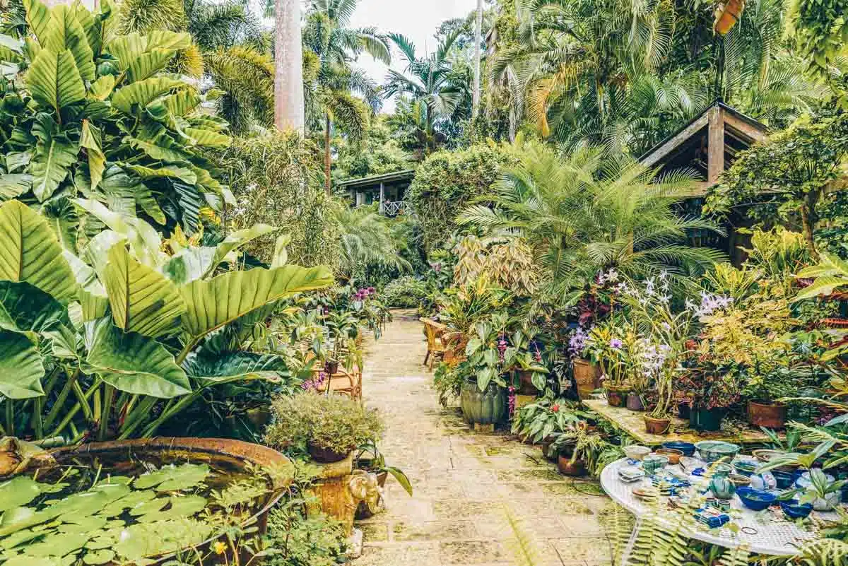 Barbados Botanical Garden