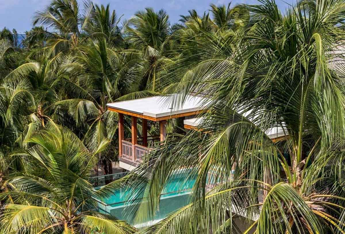 Amilla-Maldives-Wellness-Tree-House-