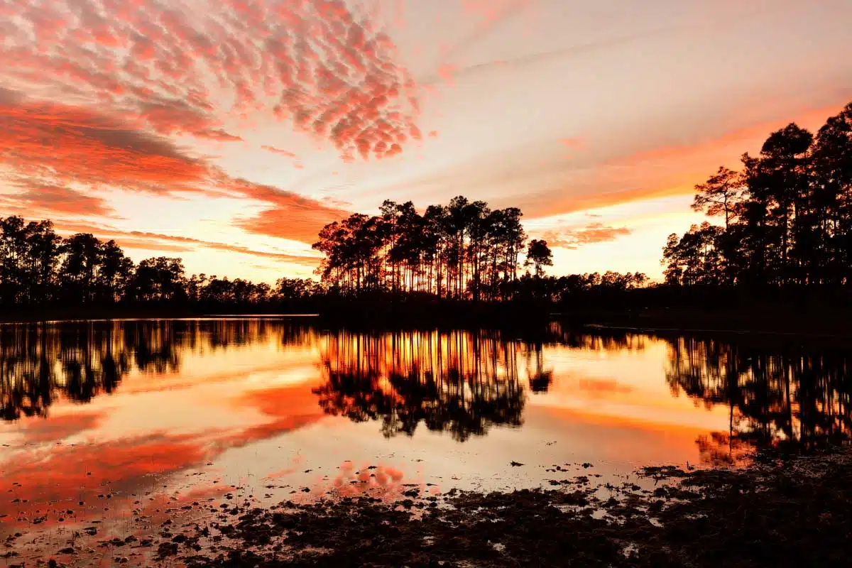 Everglades National Park, USA