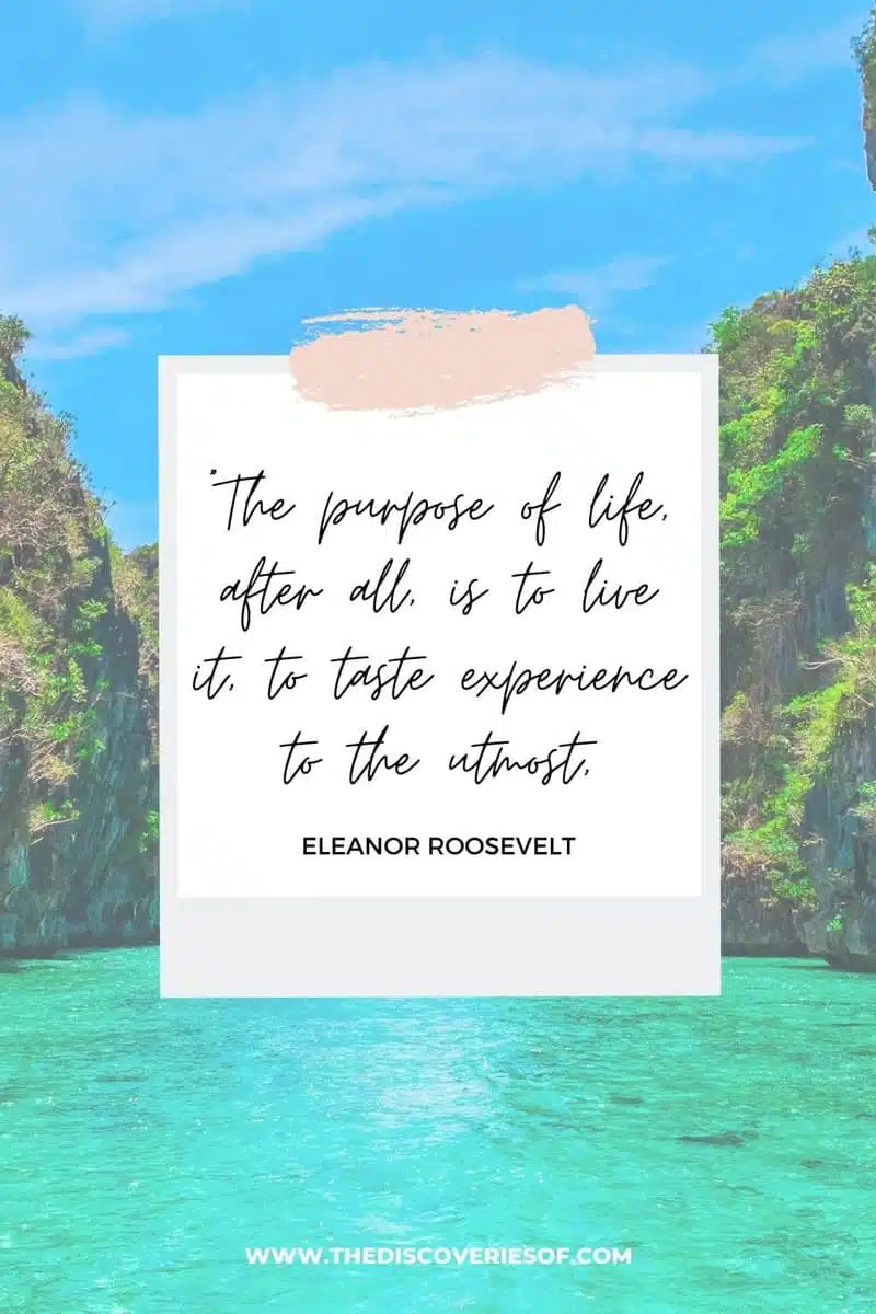 the purpose of life