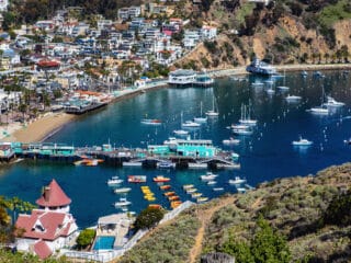 Catalina Island