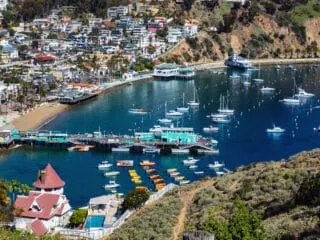 Catalina Island