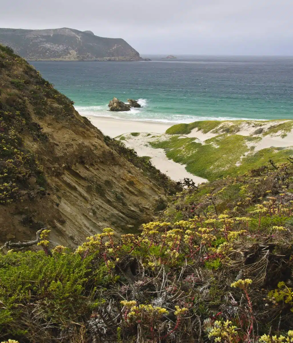 Channel Island National Park