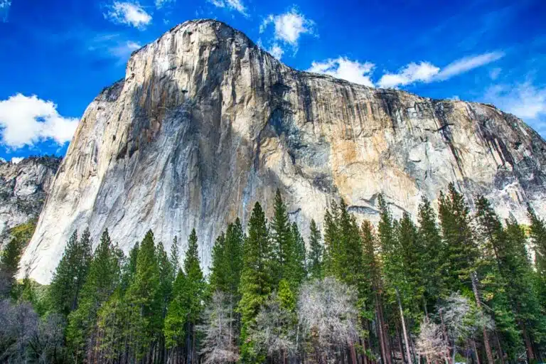 18 Incredible Things to do in Yosemite National Park