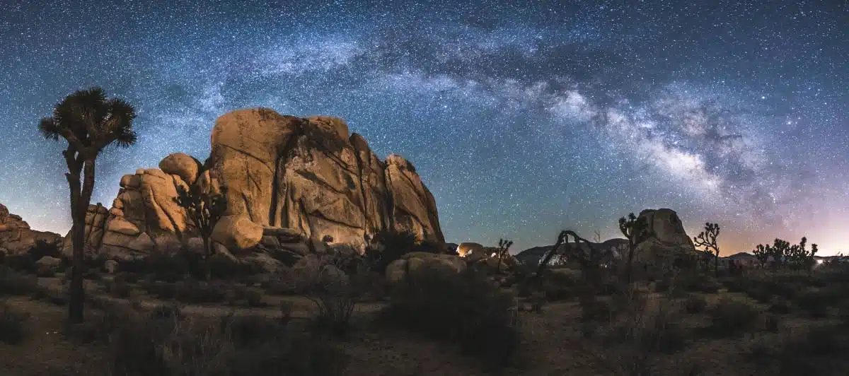 Joshua Tree