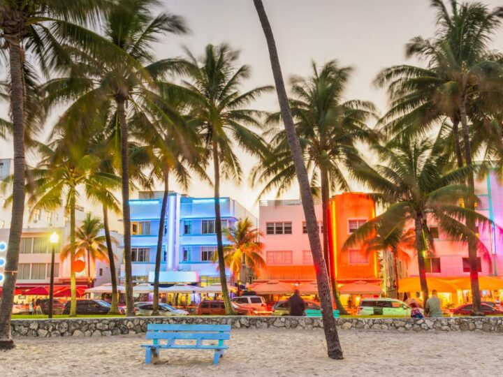 The Best Things to do in Miami