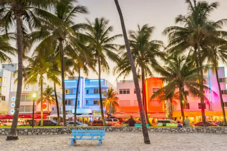 The Best Things to do in Miami