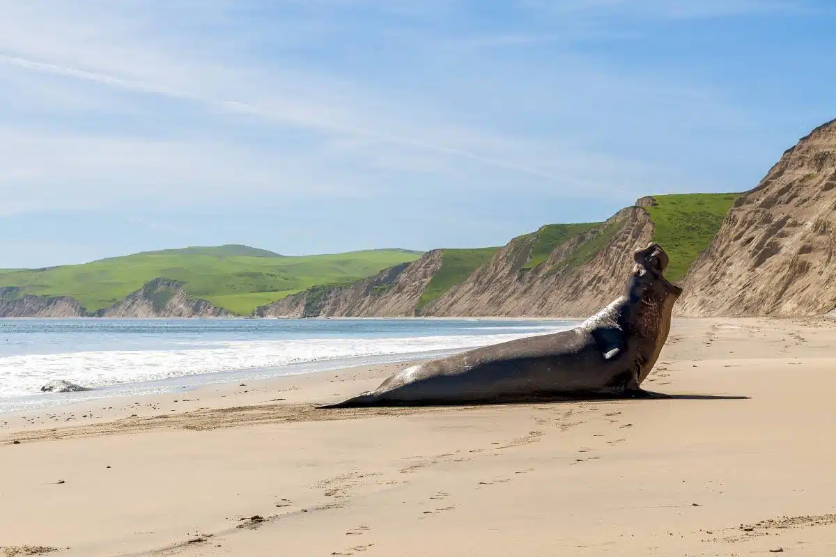 Point Reyes