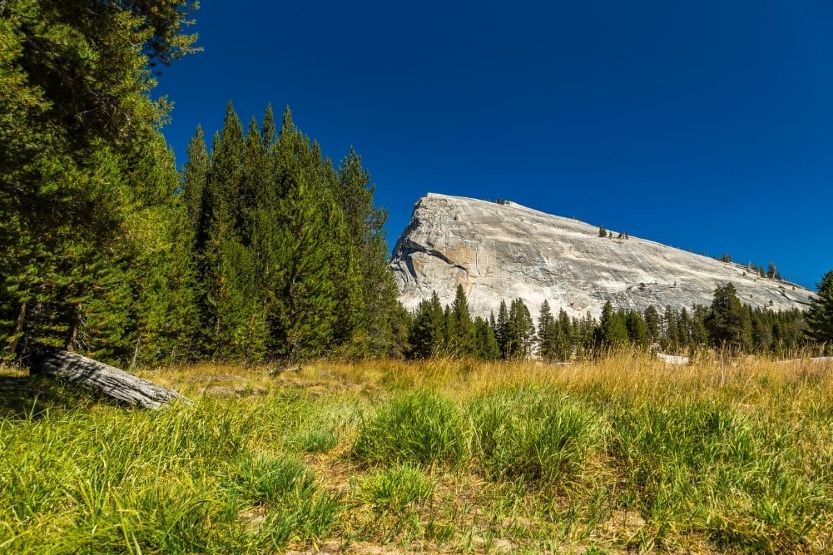 Best hikes in Yosemite