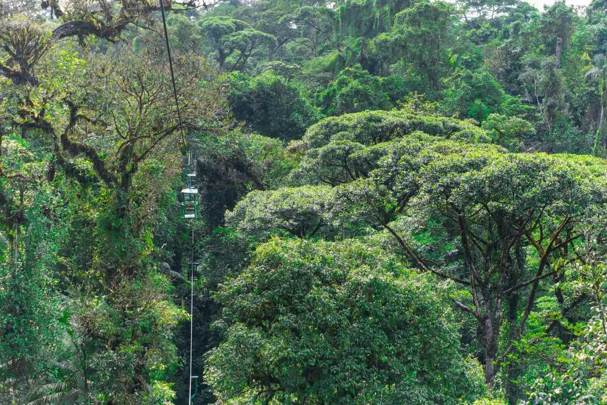 Braulia Costa Rica