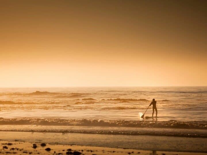 Carmel-by-the-Sea Camping Guide: Best Campgrounds + Practical Tips