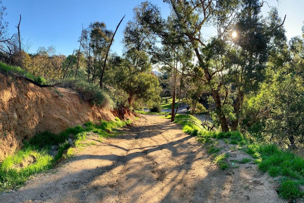 Charlie Turner Trail To Mount Hollywood (Griffith Park)