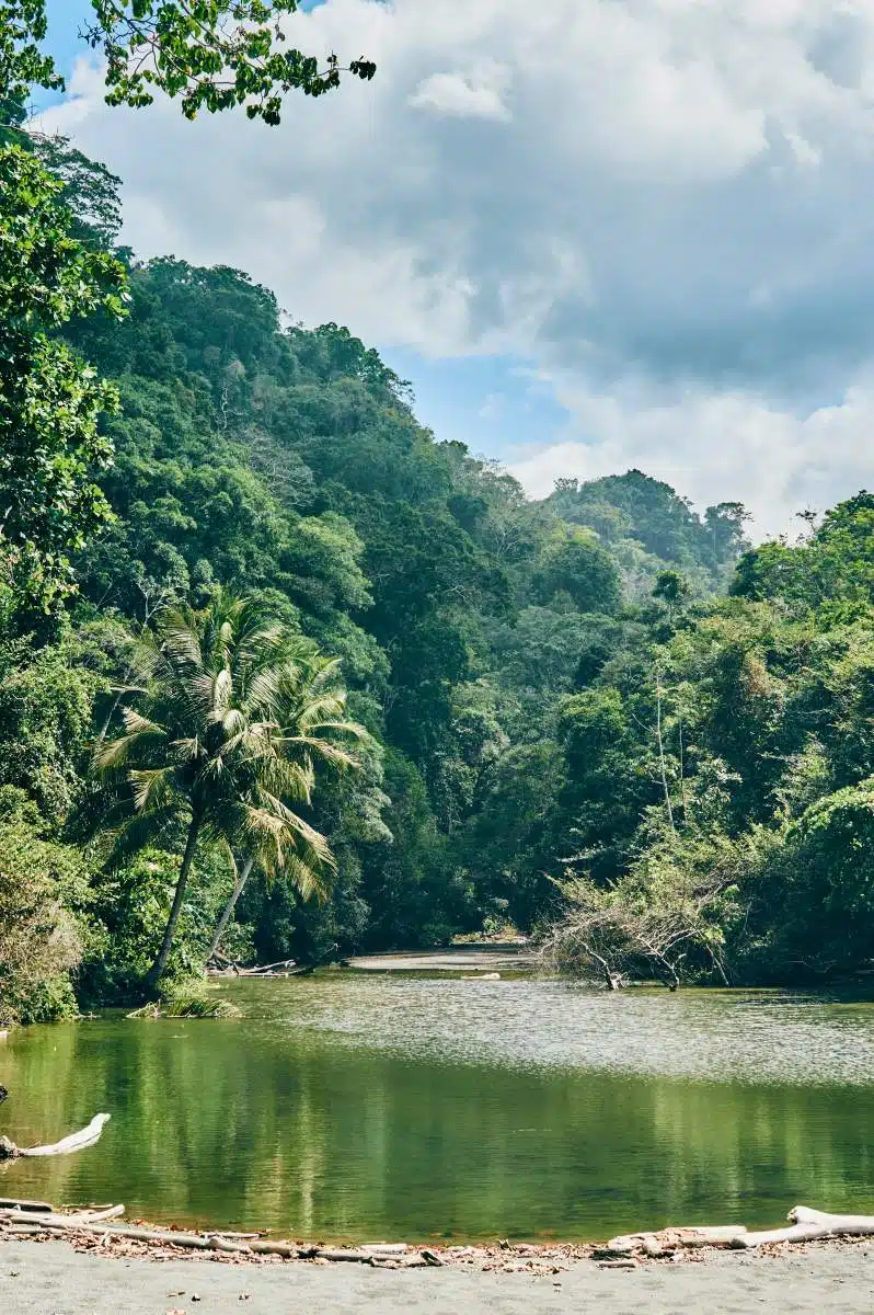 Corcovado National Park