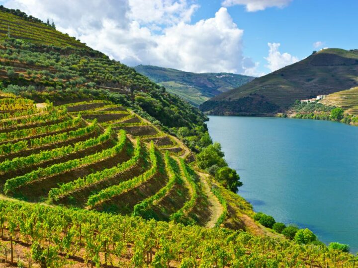 18 Fabulous Things to Do in Porto 