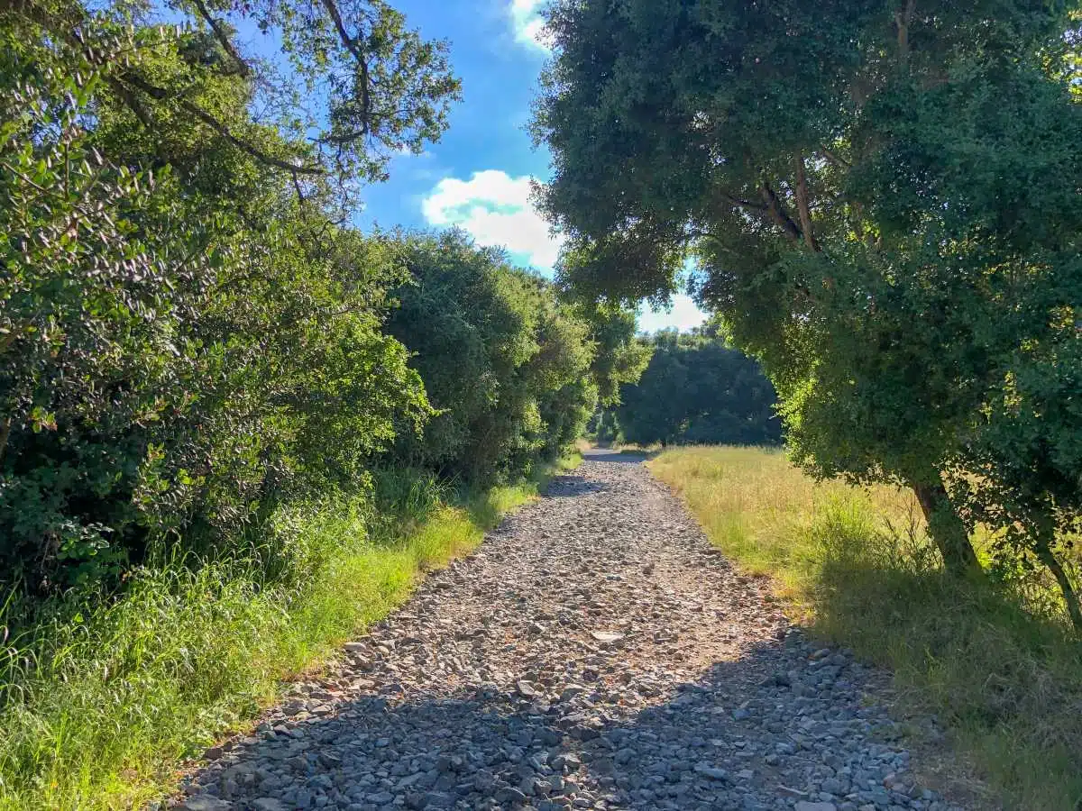 San Diego Hikes