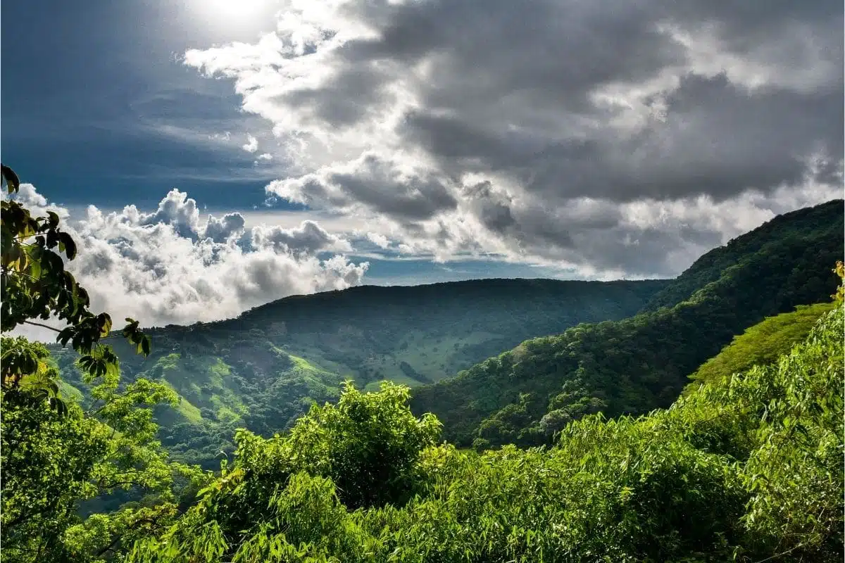 Monteverde Cloud Forest Reserve, Costa Rica