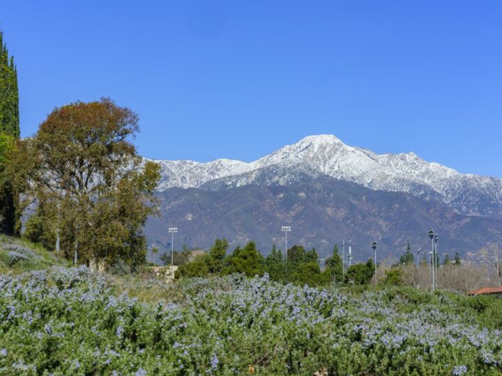 Best Hikes In LA