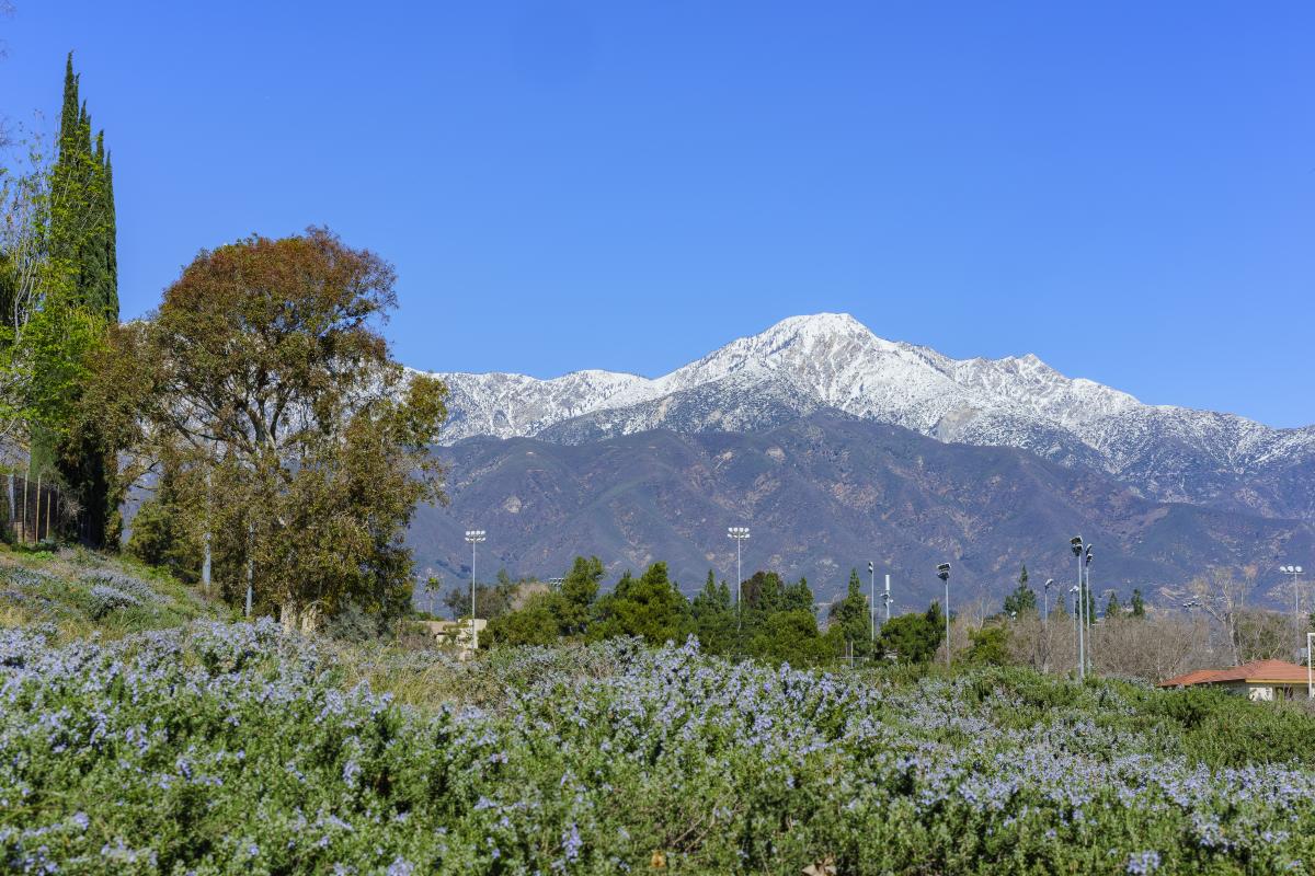 Mount Baldy