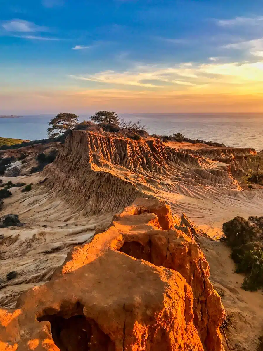 Torrey Pines San Diego