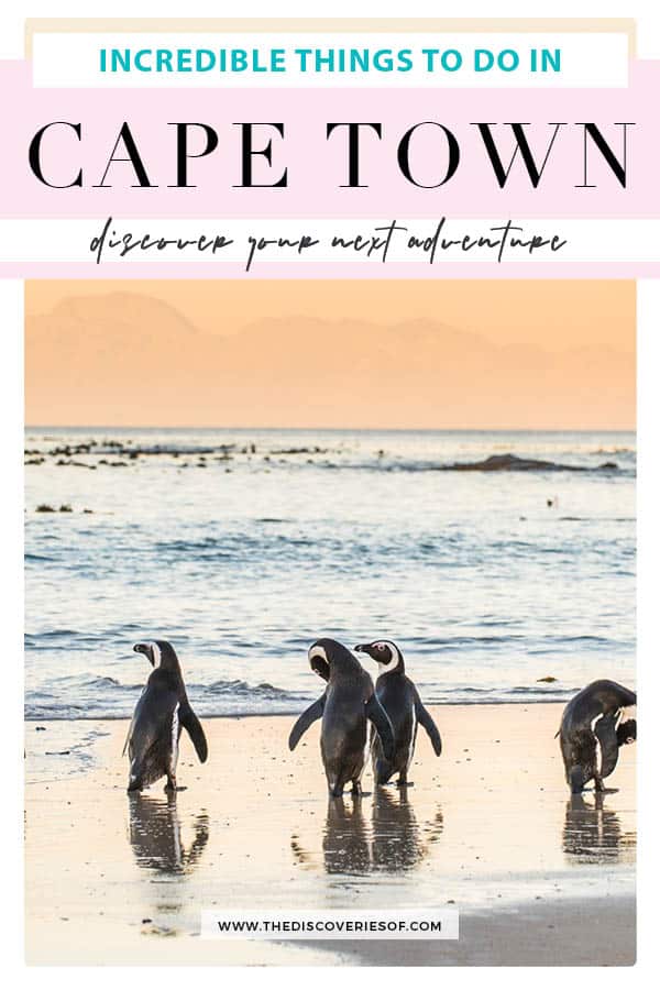 Things to do in Cape Town