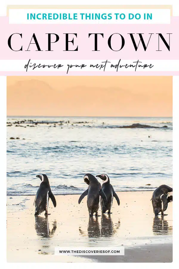 Things to do in Cape Town