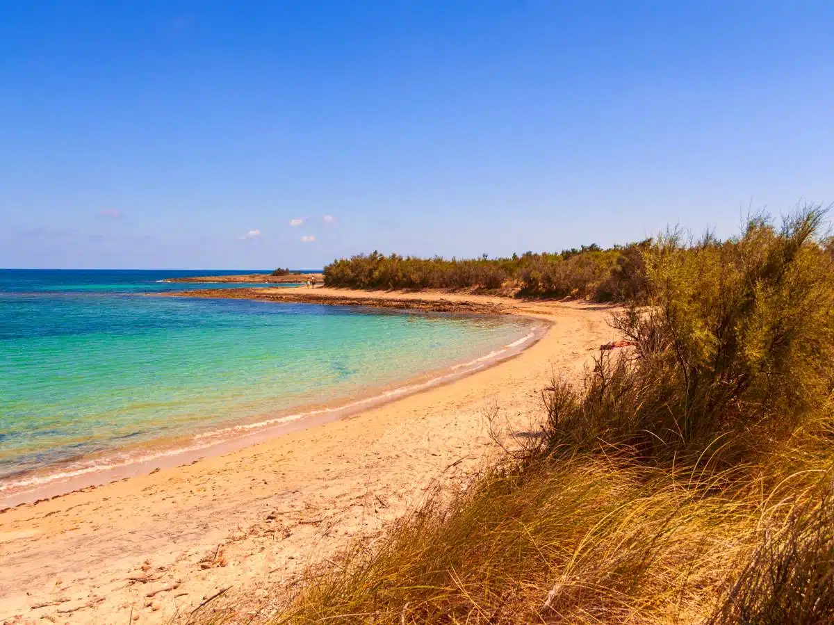 Torre Guaceto Italy Beach