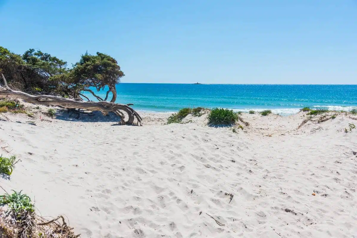 Alghero Italy Beach