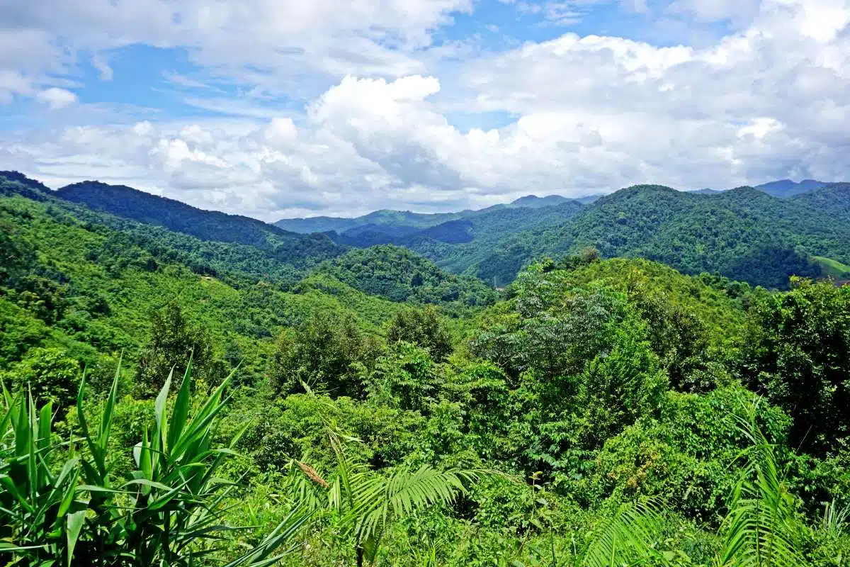 Nam Ha Park Laos