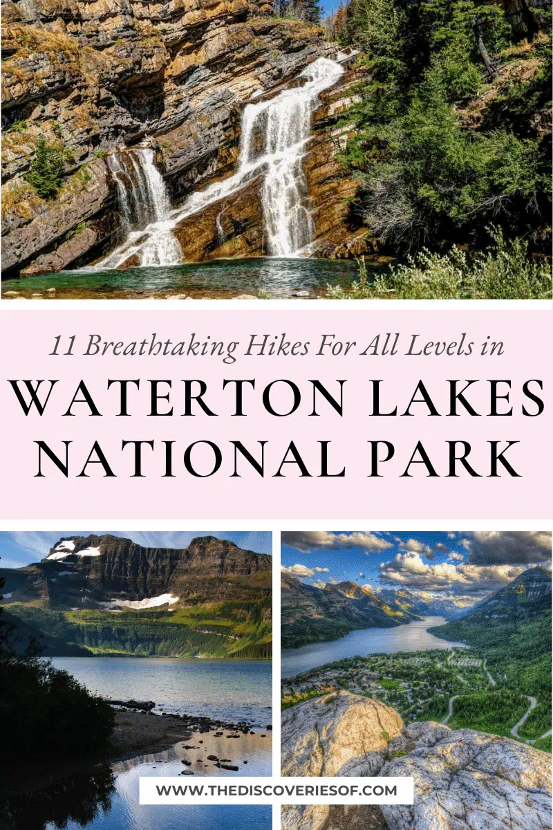 11 Breathtaking Hikes in Waterton Lakes National Park – For All Levels