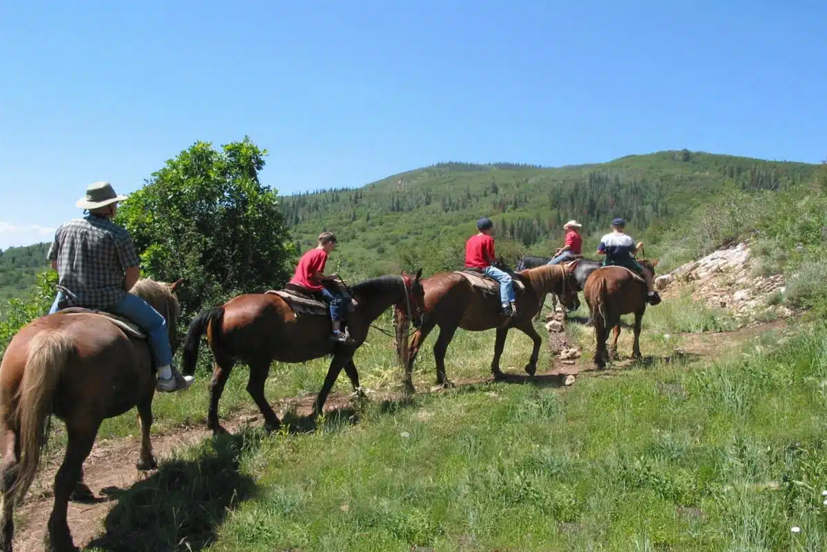 Colorado Horse Riding