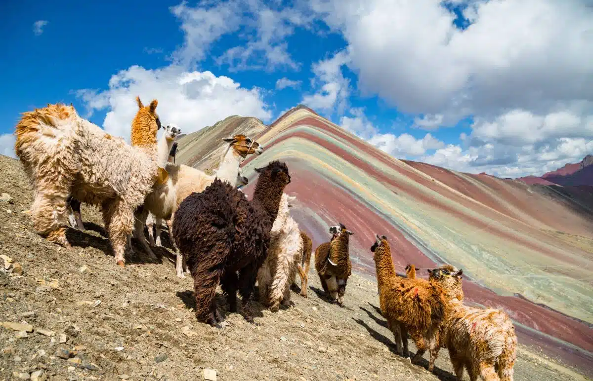 Rainbow Mountain Peru