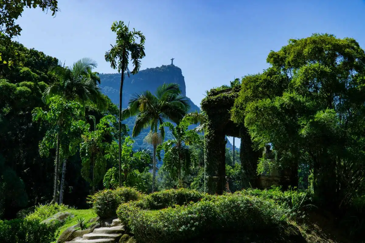 Rio Botanical Garden