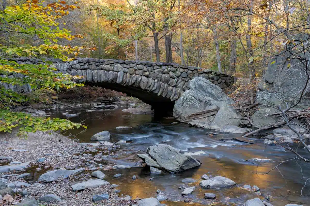 Rock Creek Park