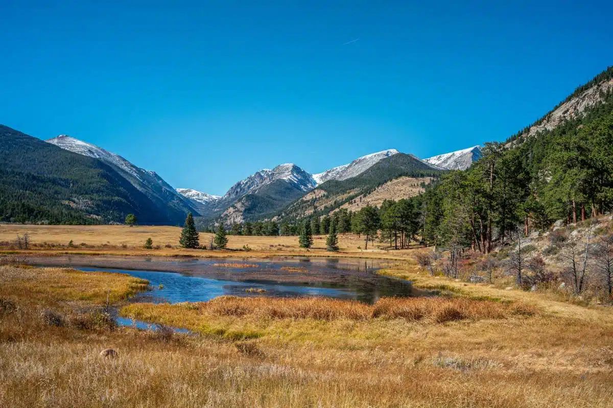 Sheep Lakes