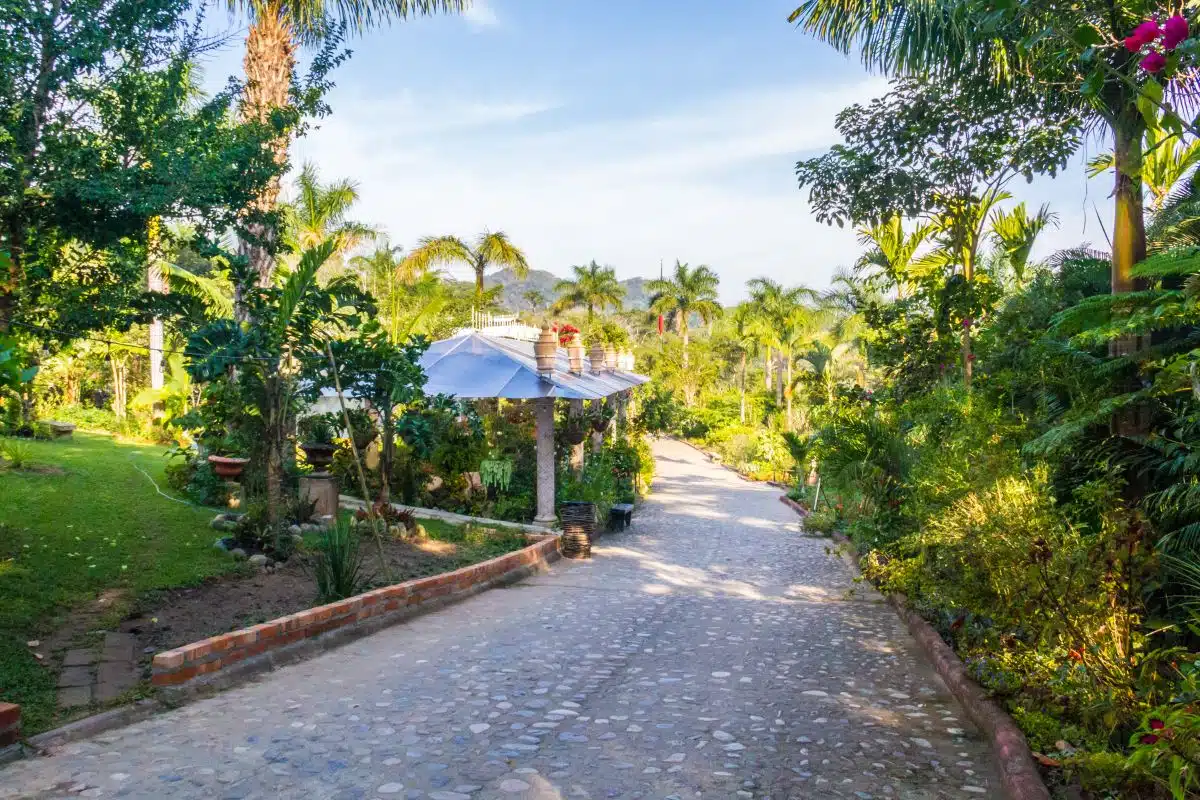 Views of Vallarta Botanical Gardens