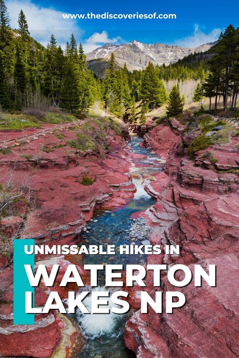best hikes waterton lakes