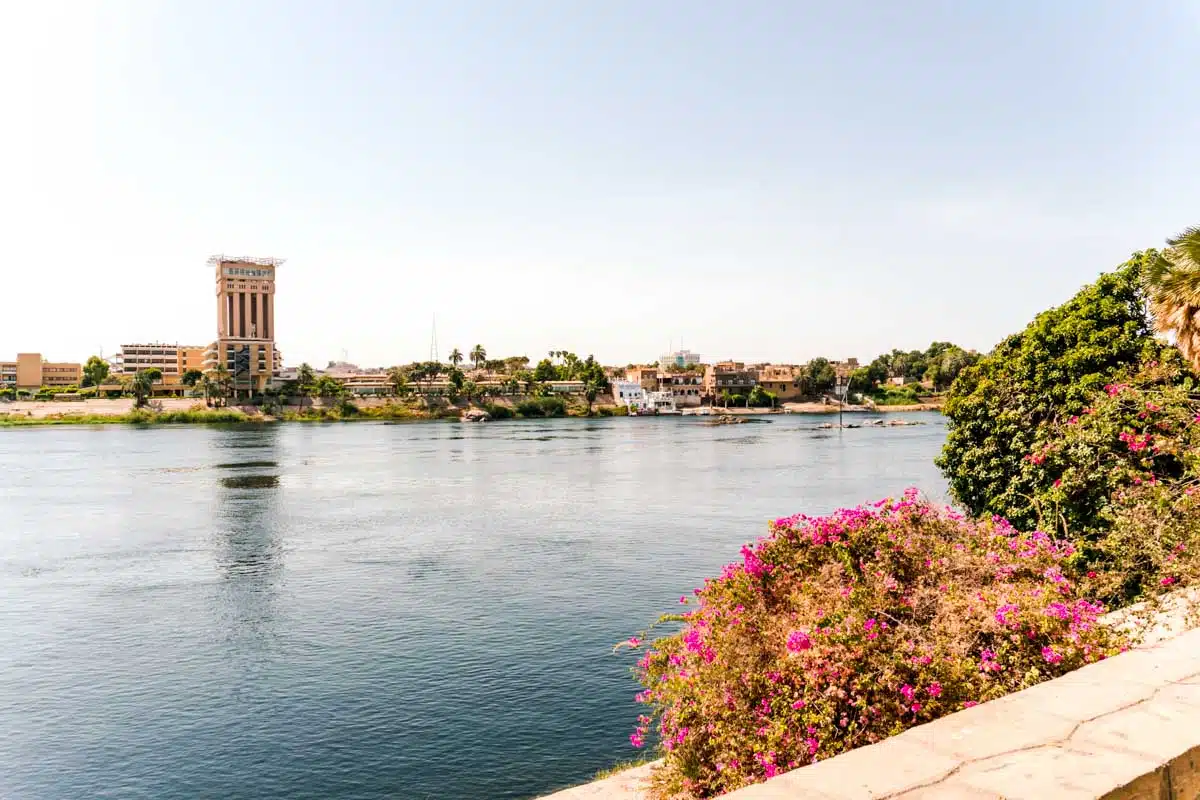 Aswan Botanical Garden Kitcheners Island