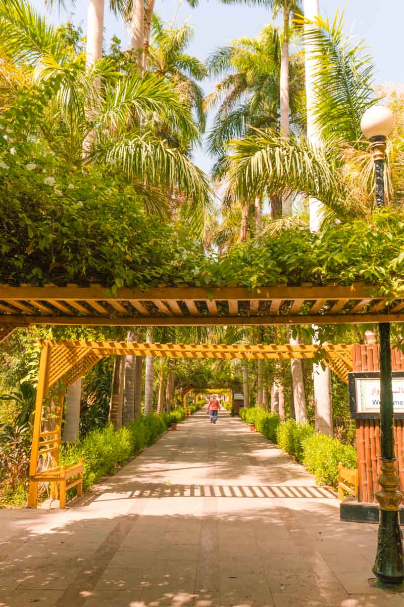 Aswan Botanical Garden Kitcheners Island