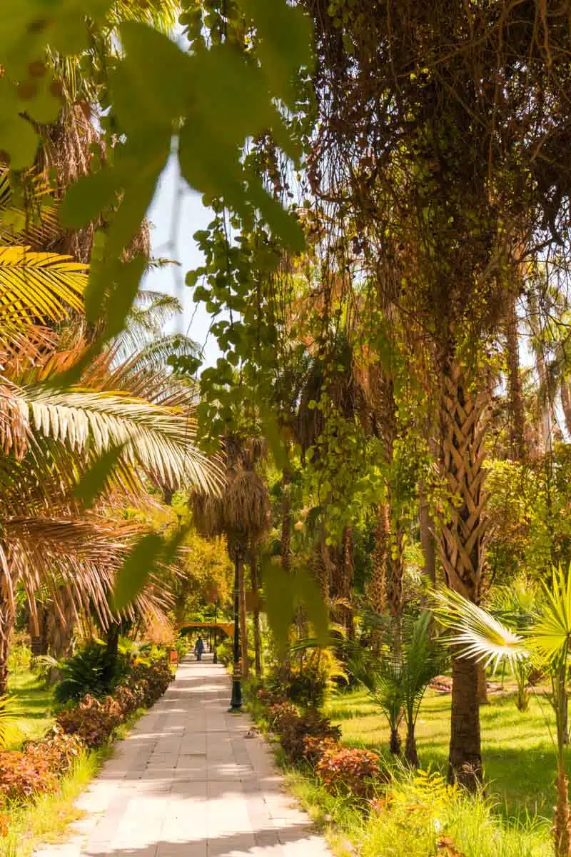 Aswan Botanical Garden Kitcheners Island